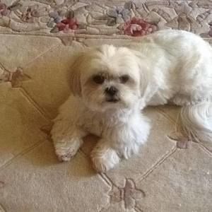 Meet your Posher, Barbara